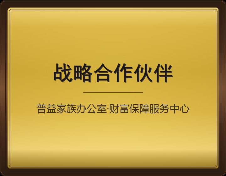 战略合作伙伴